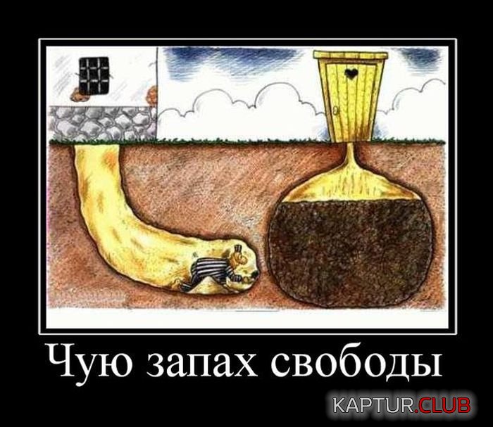 1493793476_demotivatory_28.jpg | Рено Каптур Клуб Россия | Форум KAPTUR.SU