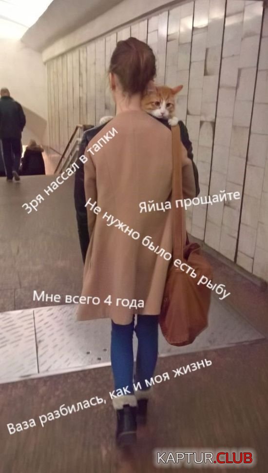 1493959196_podborka_vecher_49.jpg | Рено Каптур Клуб Россия | Форум KAPTUR.SU