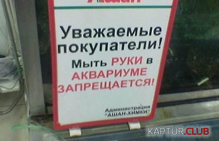 1495004921_pod_zapretom_10.jpg | Рено Каптур Клуб Россия | Форум KAPTUR.SU