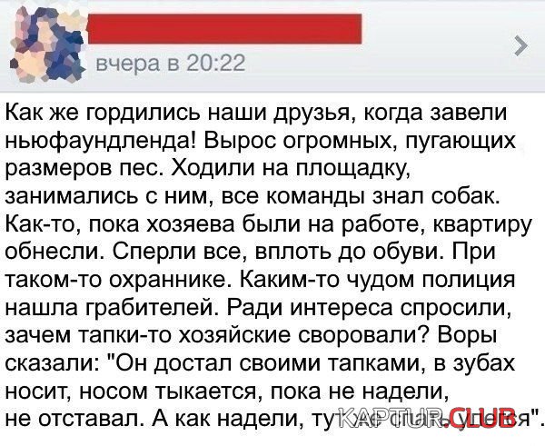 1495531707_soc_seti_13.jpg | Рено Каптур Клуб Россия | Форум KAPTUR.SU