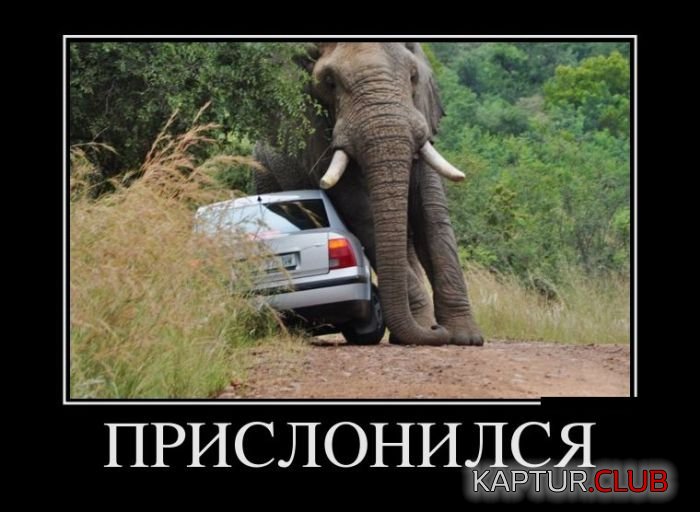 1495783182_demotivatory_11.jpg | Рено Каптур Клуб Россия | Форум KAPTUR.SU