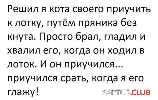 1497339103_podborka_vecher_15.jpg | Рено Каптур Клуб Россия | Форум KAPTUR.SU