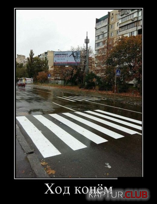 1497597871_demotivatory_30.jpg | Рено Каптур Клуб Россия | Форум KAPTUR.SU