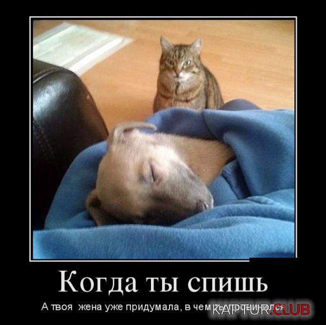 1497597900_demotivatory_01.jpg | Рено Каптур Клуб Россия | Форум KAPTUR.SU
