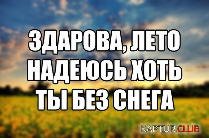1497597938_podborka_dnevnaya_15.jpg | Рено Каптур Клуб Россия | Форум KAPTUR.SU