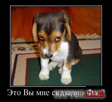 1497928035_img-011.jpg | Рено Каптур Клуб Россия | Форум KAPTUR.SU