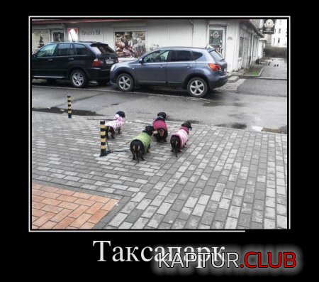 1497928109_img-010.jpg | Рено Каптур Клуб Россия | Форум KAPTUR.SU