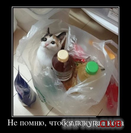 1497928174_img-019.jpg | Рено Каптур Клуб Россия | Форум KAPTUR.SU