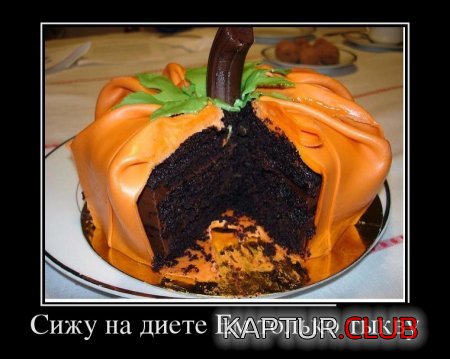1497928188_img-026.jpg | Рено Каптур Клуб Россия | Форум KAPTUR.SU