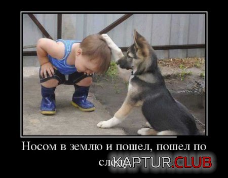 1497928201_img-027.jpg | Рено Каптур Клуб Россия | Форум KAPTUR.SU