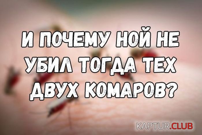1499248175_podborka_dnevnaya_10.jpg | Рено Каптур Клуб Россия | Форум KAPTUR.SU