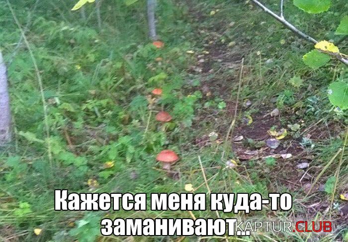 1499920490_podborka_vecher_01.jpg | Рено Каптур Клуб Россия | Форум KAPTUR.SU