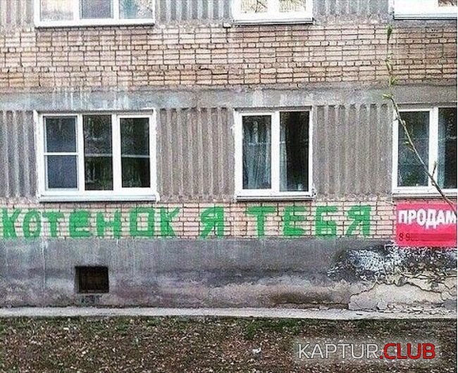 1500022114_podborka_dnevnaya_50.jpg | Рено Каптур Клуб Россия | Форум KAPTUR.SU