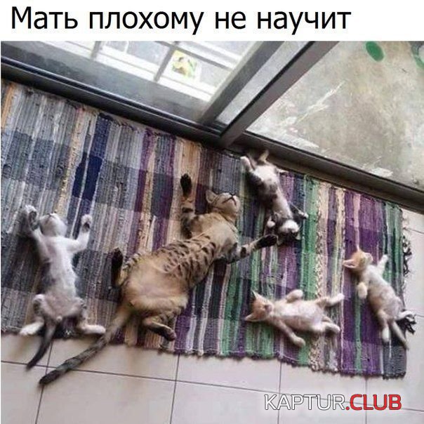 1500022168_podborka_dnevnaya_15.jpg | Рено Каптур Клуб Россия | Форум KAPTUR.SU