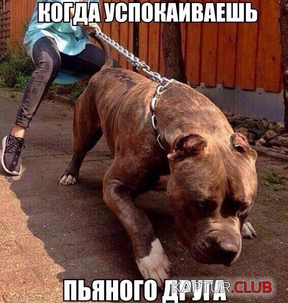 1500022170_podborka_dnevnaya_11.jpg | Рено Каптур Клуб Россия | Форум KAPTUR.SU