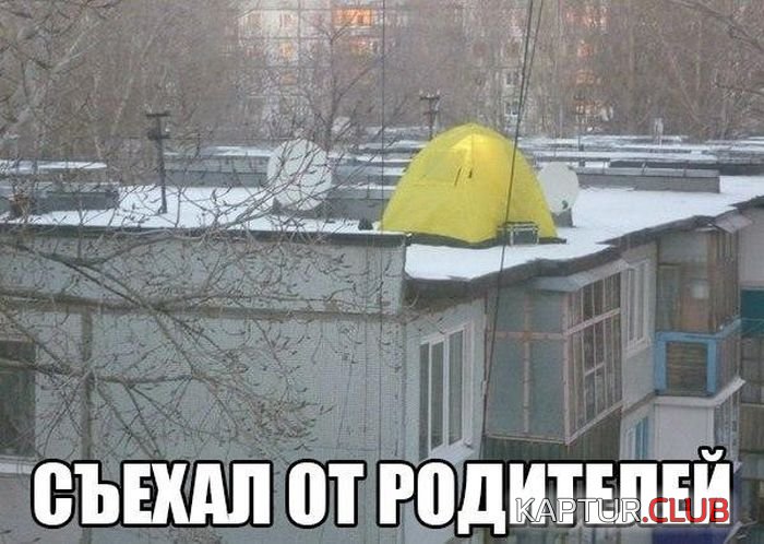 1502542675_prikolnie_kartinki_01.jpg | Рено Каптур Клуб Россия | Форум KAPTUR.SU