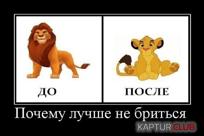 1502868192_demotivatory_24.jpg | Рено Каптур Клуб Россия | Форум KAPTUR.SU