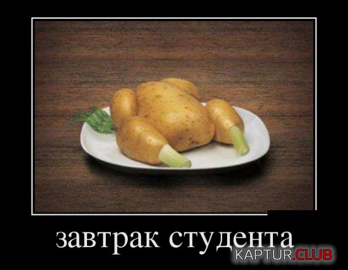 1502868243_demotivatory_25.jpg | Рено Каптур Клуб Россия | Форум KAPTUR.SU