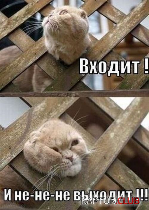 1503755985_podborka_vecher_36.jpg | Рено Каптур Клуб Россия | Форум KAPTUR.SU