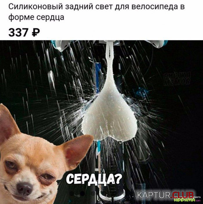 1504026266_umor-nedeli-hoohma-4.jpg | Рено Каптур Клуб Россия | Форум KAPTUR.SU