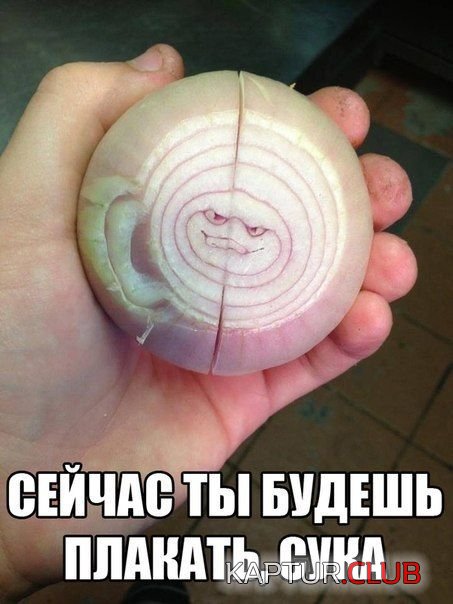 1504300086_kartinka_03.jpg | Рено Каптур Клуб Россия | Форум KAPTUR.SU