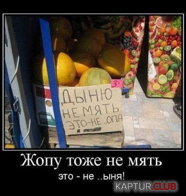 1505649503_demotivatory_19.jpg | Рено Каптур Клуб Россия | Форум KAPTUR.SU