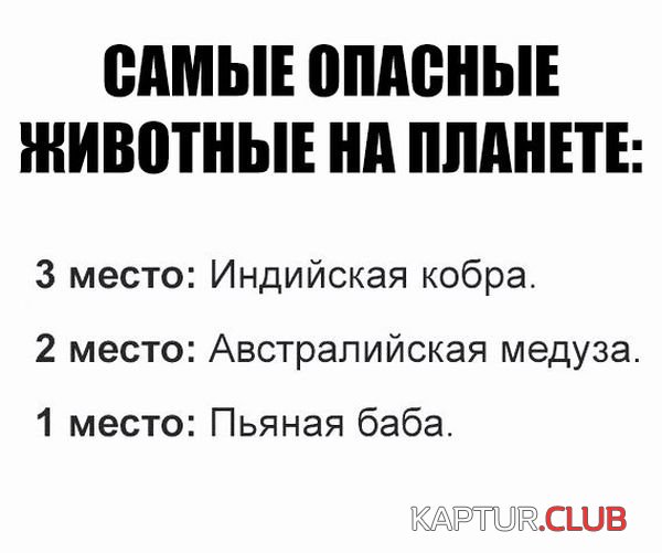 1505649554_podborka_vecher_03.jpg | Рено Каптур Клуб Россия | Форум KAPTUR.SU