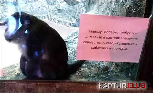 1506324141_vse_poniatno_07.jpg | Рено Каптур Клуб Россия | Форум KAPTUR.SU