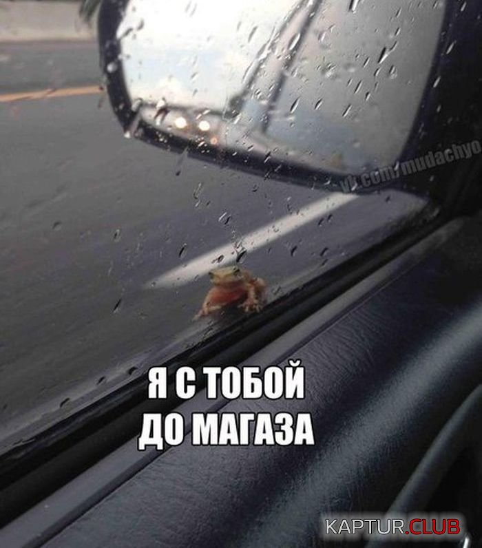 1507892315_1402223795_yumor-kartinki-s-nadpisyami-40.jpg | Рено Каптур Клуб Россия | Форум KAPTUR.SU