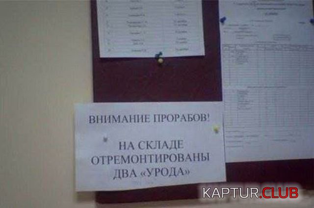 1508919203_kreativ_08.jpg | Рено Каптур Клуб Россия | Форум KAPTUR.SU