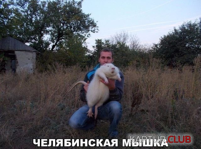 1509759813_kartinki_20.jpg | Рено Каптур Клуб Россия | Форум KAPTUR.SU