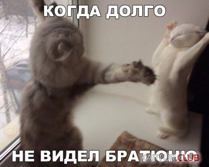 1509839312_kartinki_03.jpg | Рено Каптур Клуб Россия | Форум KAPTUR.SU