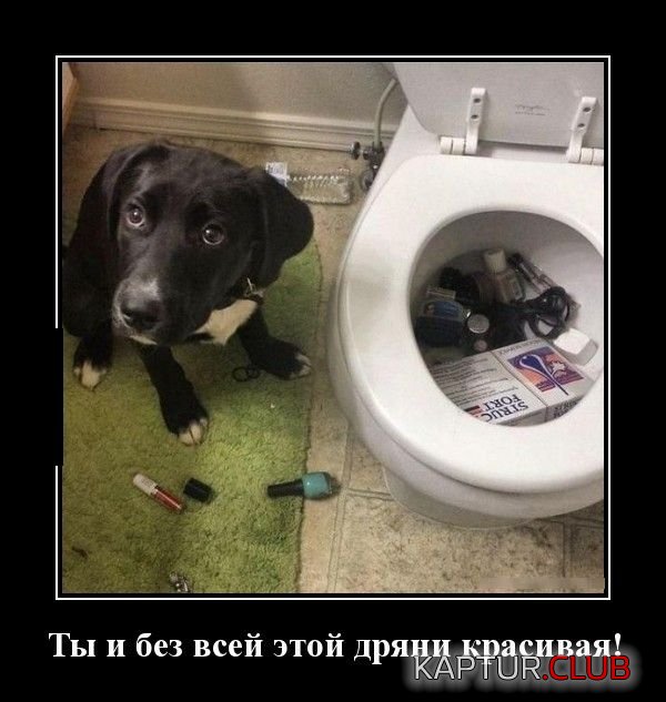 1511164189_demotivatory_20.jpg | Рено Каптур Клуб Россия | Форум KAPTUR.SU