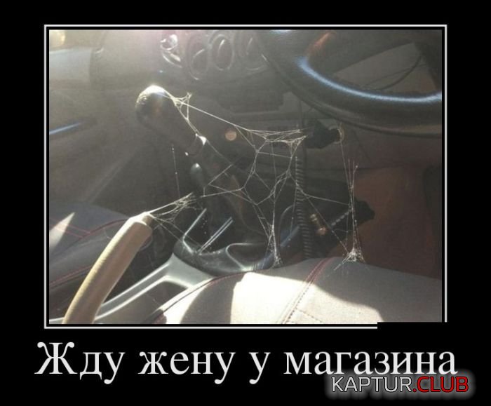 1511168784_demotivatory_16.jpg | Рено Каптур Клуб Россия | Форум KAPTUR.SU
