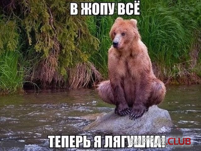 1511189742_1510995736_kartinki_10.jpg | Рено Каптур Клуб Россия | Форум KAPTUR.SU