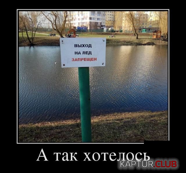 1512112595_demotivatory_05.jpg | Рено Каптур Клуб Россия | Форум KAPTUR.SU
