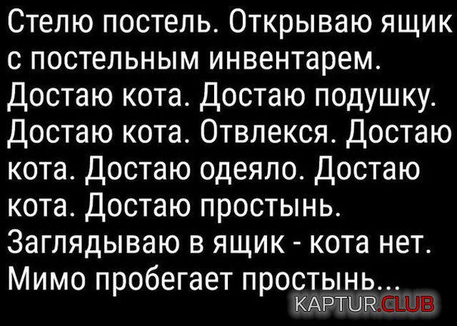1512112730_podborka_vecher_55.jpg | Рено Каптур Клуб Россия | Форум KAPTUR.SU