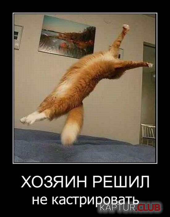 1512121350_demotivatory_22.jpg | Рено Каптур Клуб Россия | Форум KAPTUR.SU