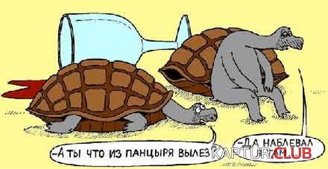 1512977329_alko_yumor_17.jpg | Рено Каптур Клуб Россия | Форум KAPTUR.SU