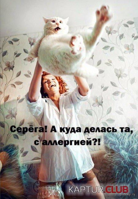 151477_12_trinixy_ru.jpg | Рено Каптур Клуб Россия | Форум KAPTUR.SU