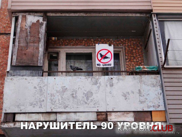 151477_20_trinixy_ru.jpg | Рено Каптур Клуб Россия | Форум KAPTUR.SU
