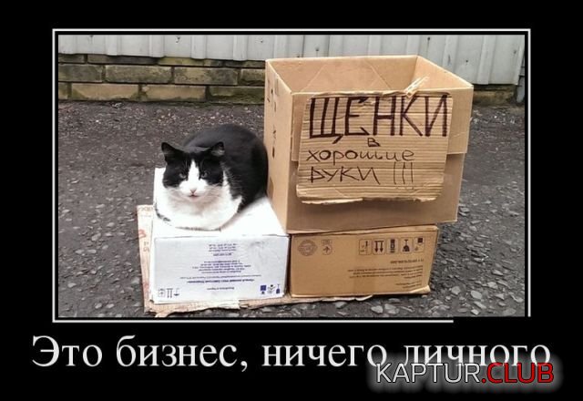 1515140980_demotivatory_01.jpg | Рено Каптур Клуб Россия | Форум KAPTUR.SU