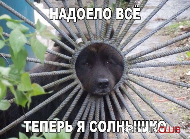 1516981535_kartinki_05.jpg | Рено Каптур Клуб Россия | Форум KAPTUR.SU