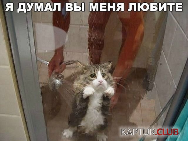 1516981608_kartinki_07.jpg | Рено Каптур Клуб Россия | Форум KAPTUR.SU