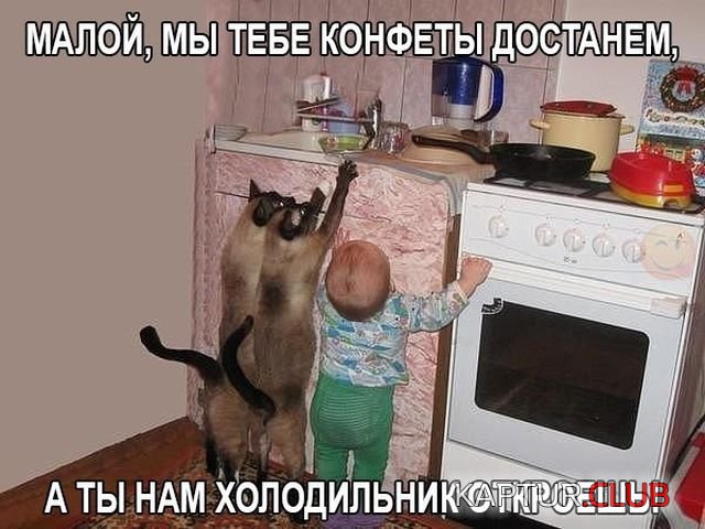 1516981614_kartinki_s_tekstom_03.jpg | Рено Каптур Клуб Россия | Форум KAPTUR.SU