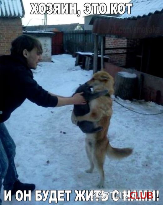 1516981618_kartinki_17.jpg | Рено Каптур Клуб Россия | Форум KAPTUR.SU