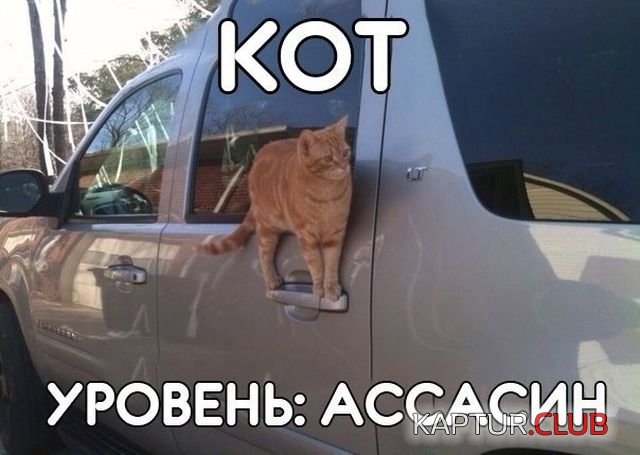 1516981637_kartinki_s_tekstom_13.jpg | Рено Каптур Клуб Россия | Форум KAPTUR.SU
