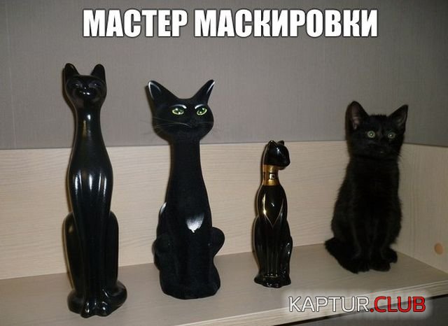 1516981647_kartinki_s_tekstom_11.jpg | Рено Каптур Клуб Россия | Форум KAPTUR.SU