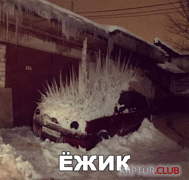 1516981685_kartinki_s_tekstom_17.jpg | Рено Каптур Клуб Россия | Форум KAPTUR.SU