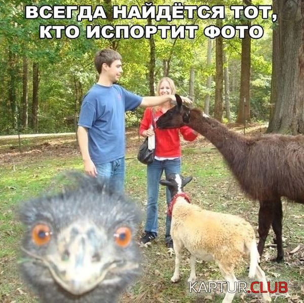 1516981689_kartinki_s_tekstom_02.jpg | Рено Каптур Клуб Россия | Форум KAPTUR.SU